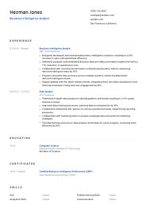 Business Intelligence Analyst CV Template #1