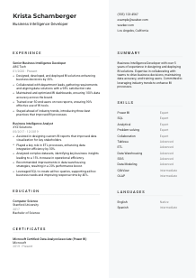 Business Intelligence Developer CV Template #12