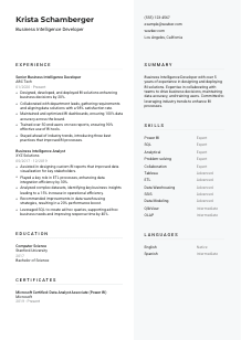 Business Intelligence Developer Resume Template #12