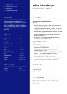 Business Intelligence Developer CV Template #21