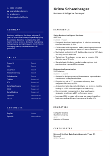 Business Intelligence Developer Resume Template #21