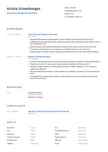 Business Intelligence Developer CV Template #8