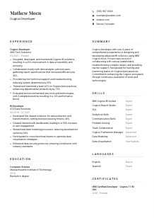 Cognos Developer CV Template #7