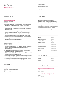 Tableau Developer Resume Template #11