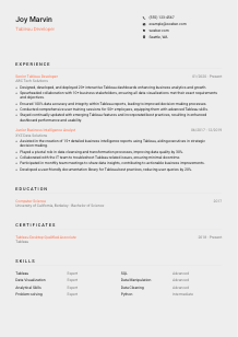 Tableau Developer Resume Template #23