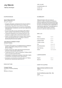 Tableau Developer CV Template #5