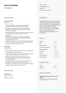 Data Analyst CV Template #2