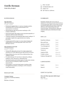 Data Entry Analyst CV Template #7