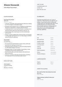 Data Reporting Analyst CV Template #12