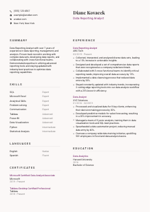 Data Reporting Analyst CV Template #20