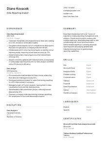 Data Reporting Analyst CV Template #5