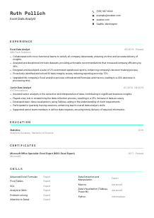 Excel Data Analyst Resume Template #18