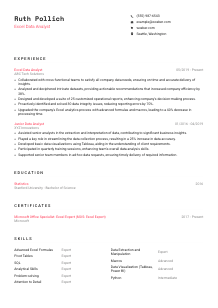 Excel Data Analyst Resume Template #4