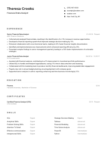 Financial Data Analyst Resume Example