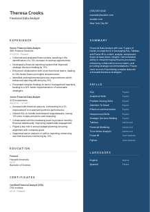 Financial Data Analyst Resume Template #2