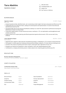 Operations Analyst Resume Example