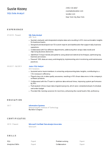 SQL Data Analyst CV Template #8