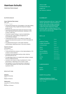 Statistical Data Analyst Resume Template #2
