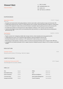 Data Architect CV Template #3