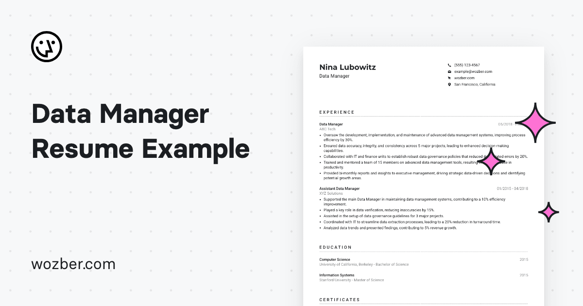 Data Manager Resume Example