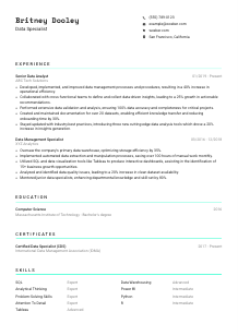 Data Specialist CV Template #3