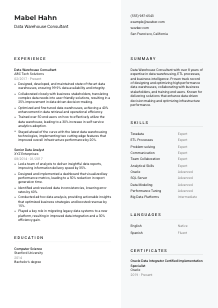 Data Warehouse Consultant CV Template #12