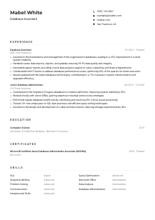 Database Assistant Resume Example