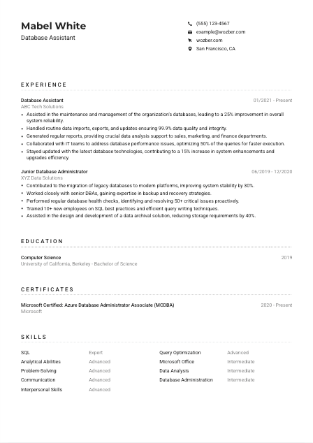 Database Assistant CV Example