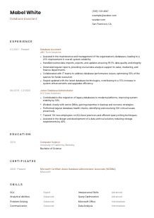 Database Assistant Resume Template #1