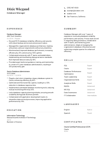 Database Manager CV Template #7