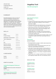 Data Mining Engineer CV Template #14