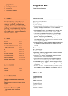 Data Mining Engineer CV Template #19