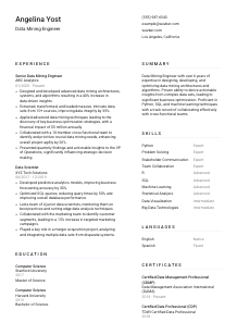 Data Mining Engineer CV Template #5