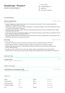 Machine Learning Engineer CV Template #3