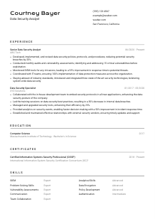 Data Security Analyst CV Template #2