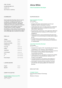 Data Visualization Developer CV Template #14