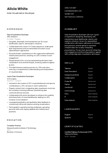 Data Visualization Developer CV Template #17