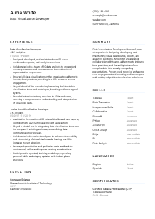 Data Visualization Developer Resume Template #5