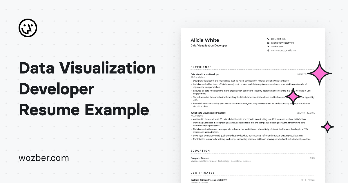 Data Visualization Developer Resume Example