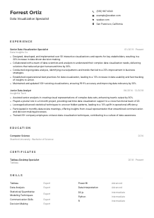 Data Visualization Specialist Resume Example