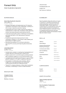 Data Visualization Specialist Resume Template #1