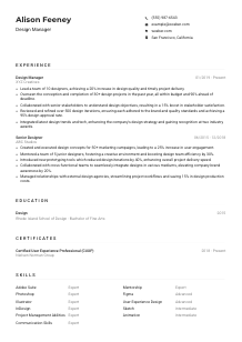 Design Manager CV Example