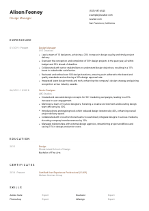 Design Manager CV Template #1