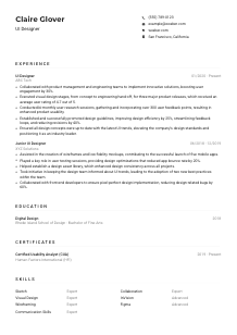UI Designer CV Example