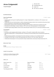 Visual Designer CV Example
