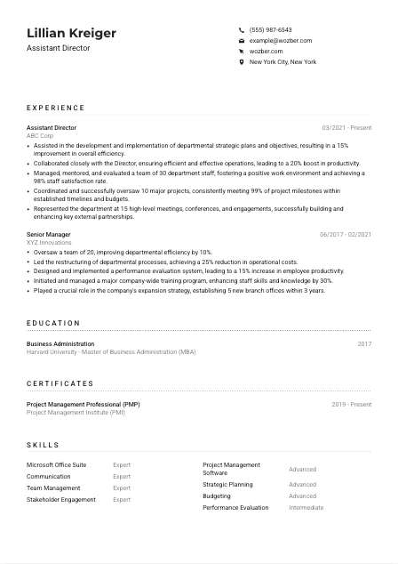 Assistant Director Resume Example