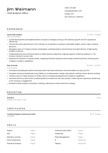 Chief Analytics Officer CV Template #2