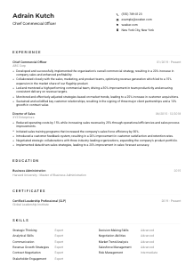 Chief Commercial Officer CV Example