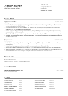 Chief Commercial Officer CV Template #2