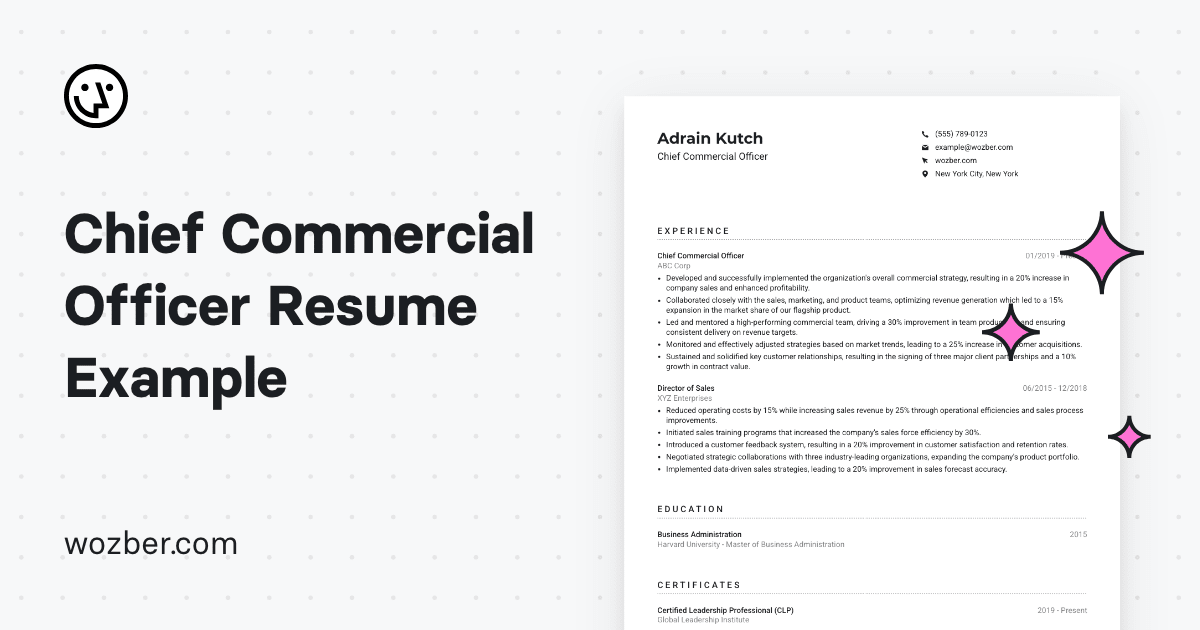 Chief Commercial Officer Resume - Og